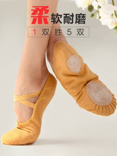 丹诗戈舞蹈鞋