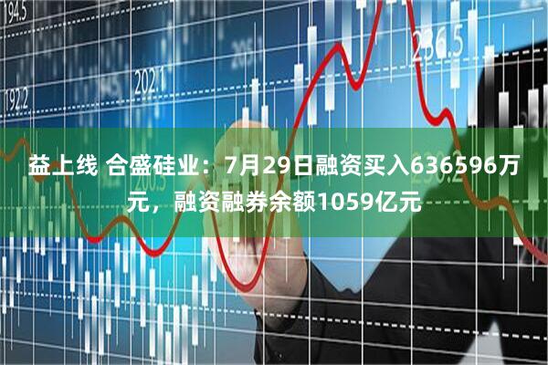 益上线 合盛硅业：7月29日融资买入636596万元，融资融券余额1059亿元