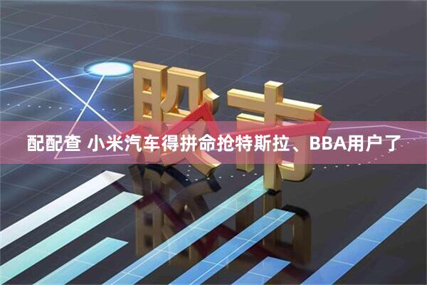 配配查 小米汽车得拼命抢特斯拉、BBA用户了