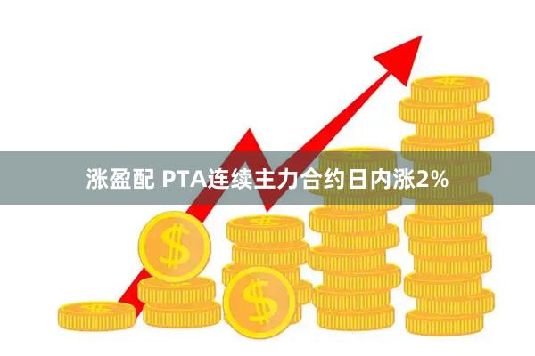 涨盈配 PTA连续主力合约日内涨2%