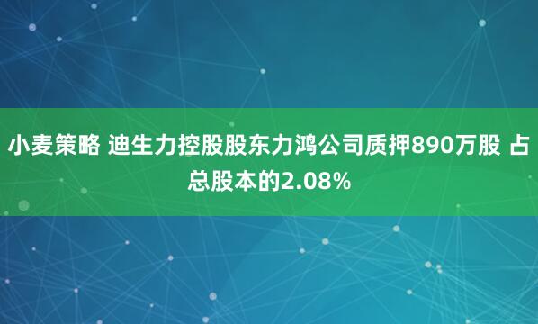小麦策略 迪生力控股股东力鸿公司质押890万股 占总股本的2.08%